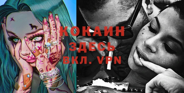 стаф Коряжма