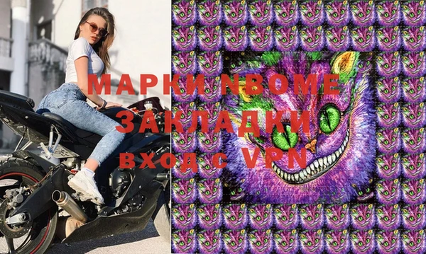 стаф Коряжма