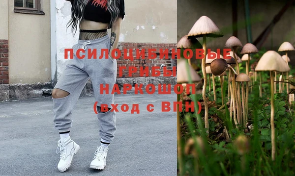spice Костерёво