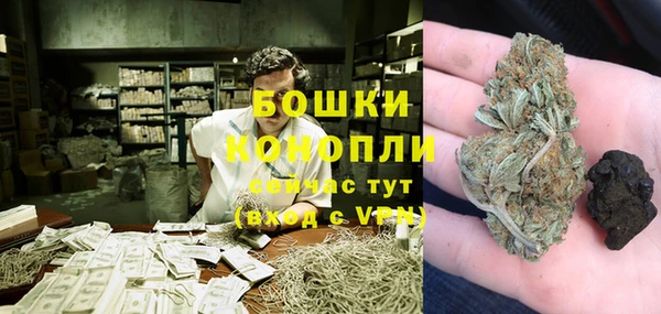 стаф Коряжма