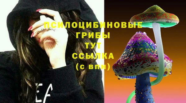 кокс Корсаков