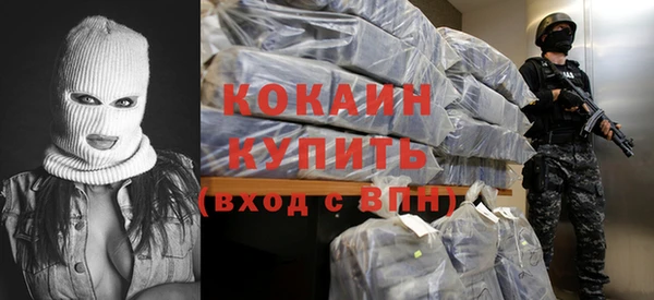 стаф Коряжма