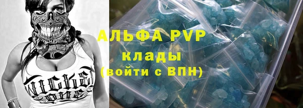 стаф Коряжма
