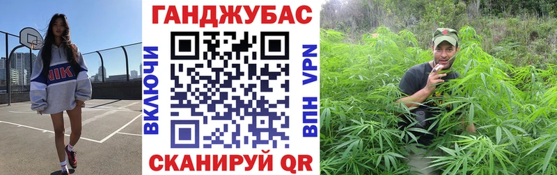 Купить где Зея Конопля план